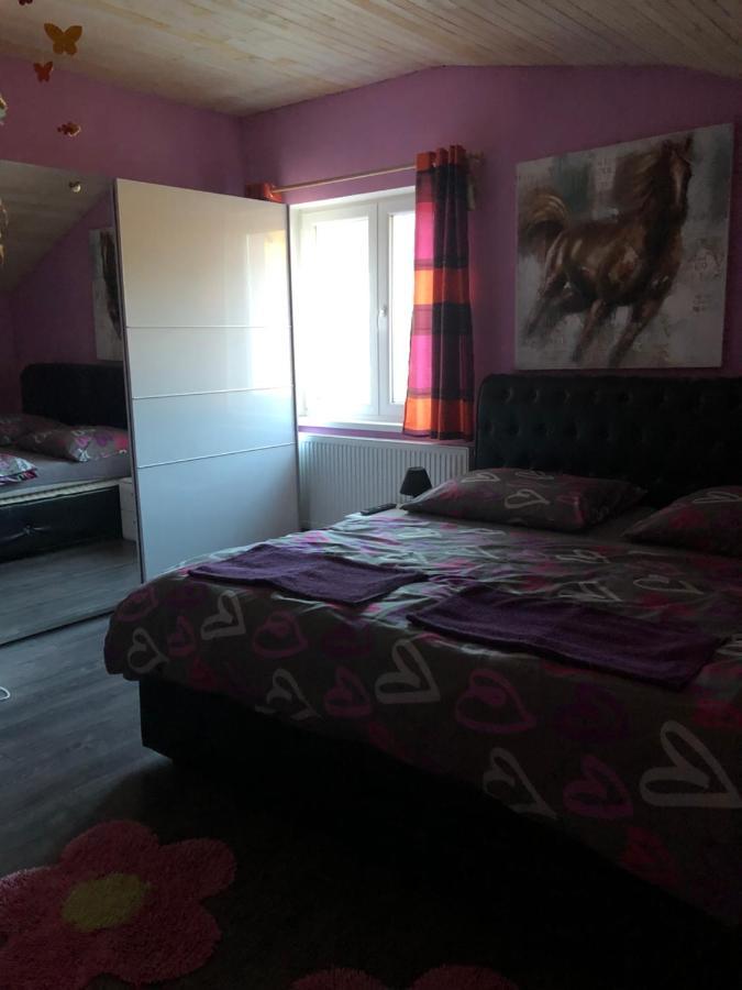 Dovolenkovy Dom Carnica Villa Mlynky Dış mekan fotoğraf