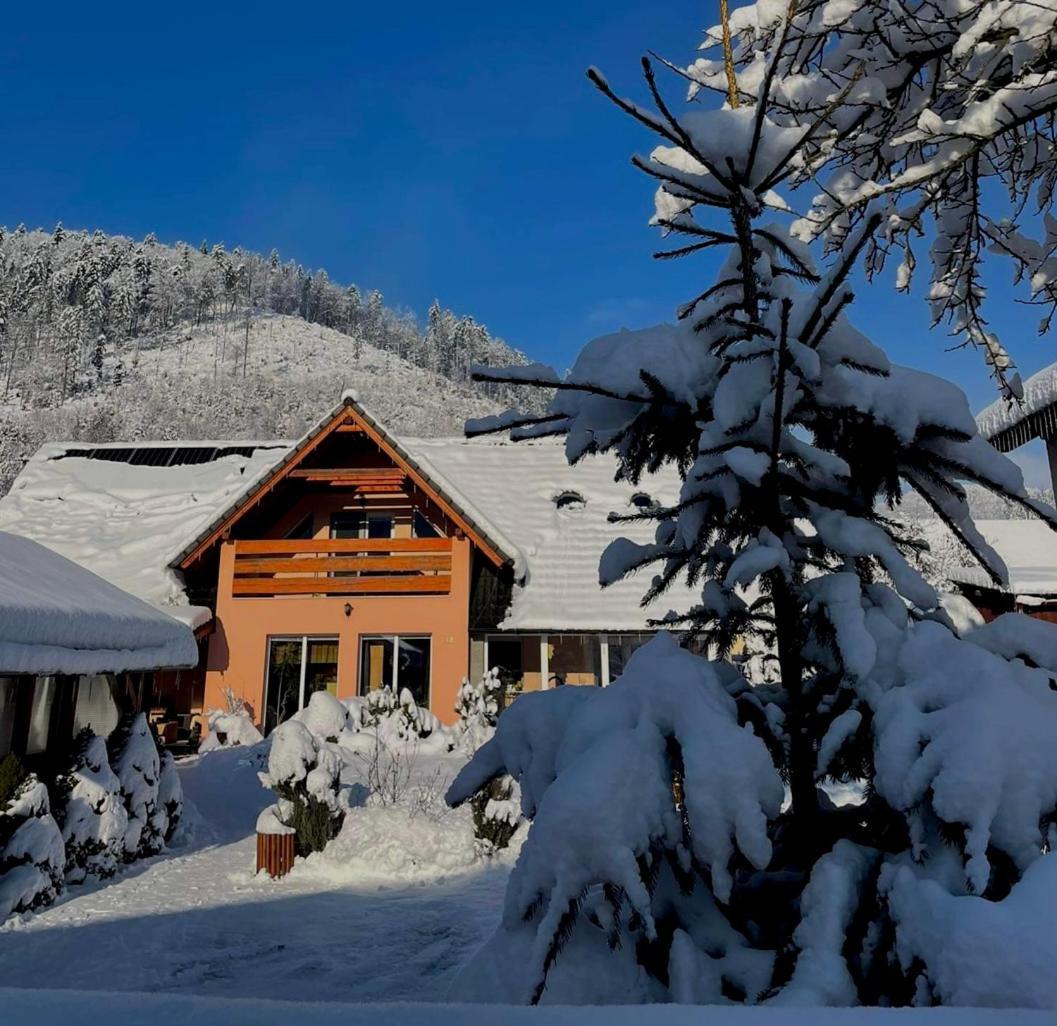 Dovolenkovy Dom Carnica Villa Mlynky Dış mekan fotoğraf